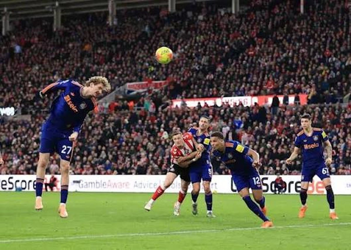 ببینید/ یک گل به خودی زیبا و کم نظیر!